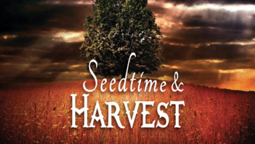 Don't Give Up On Your Seed, It's Harvest Time!