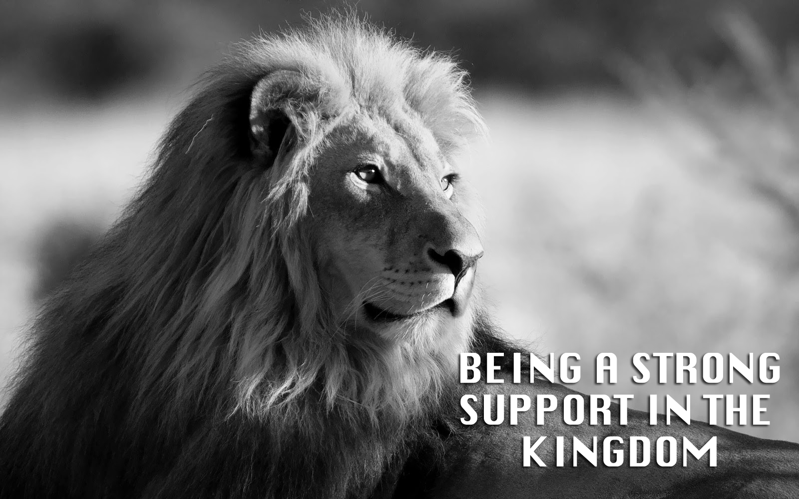 Being A Strong Support in the Kingdom