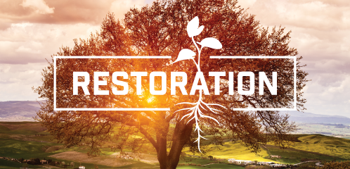 God Will Restore You