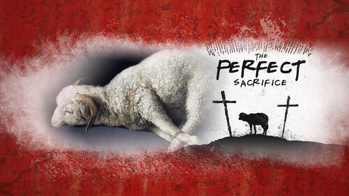 The Passover Lamb