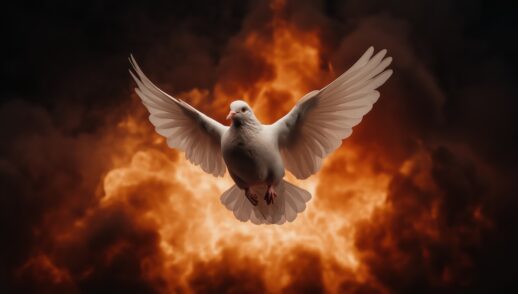 From Trail To Victory!